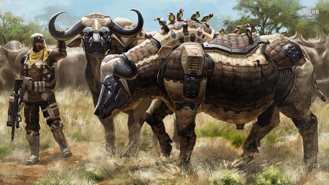 程序员都在用什么显示器写代码?