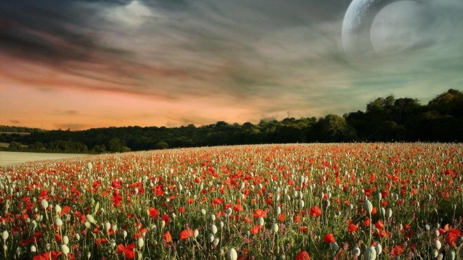 真的没有人觉得2k是一个很尴尬的分辨率吗？